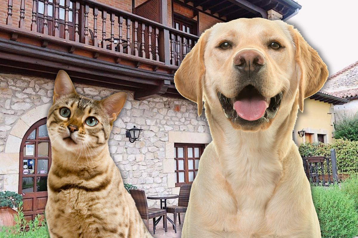 Casa rural para mascotas en Cantabria